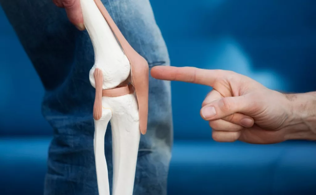 Chiropractic Joint Care Can Help Keep Your Joints Happy And Healthy